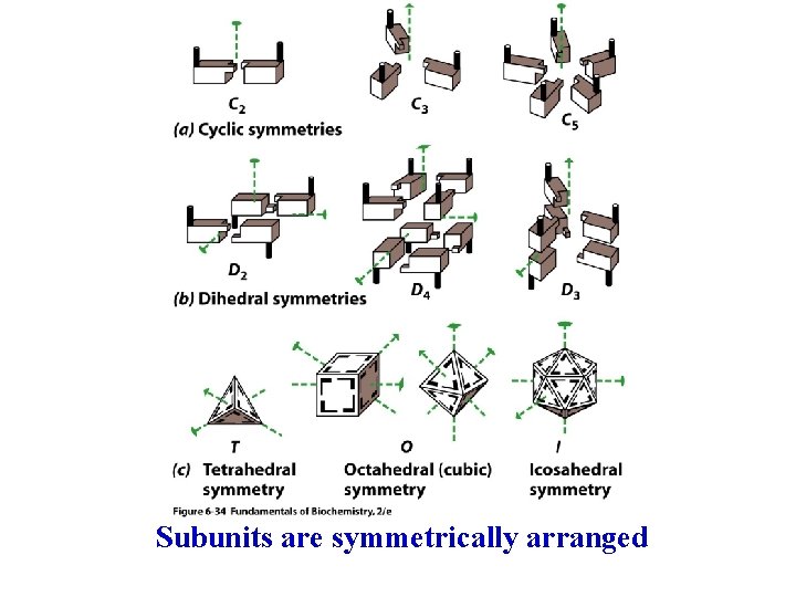 Subunits are symmetrically arranged 