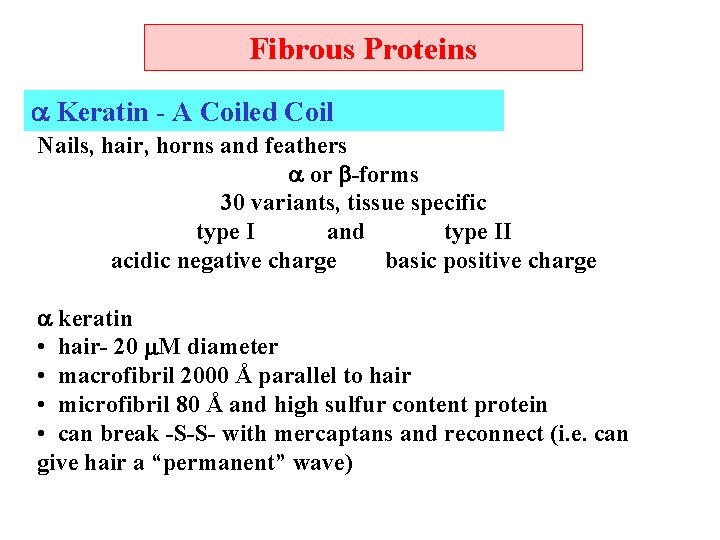 Fibrous Proteins Keratin - A Coiled Coil Nails, hair, horns and feathers or -forms
