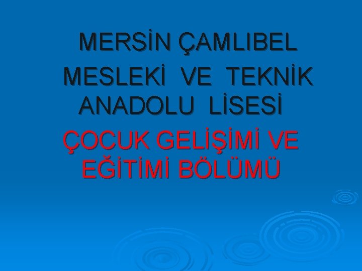 MERSİN ÇAMLIBEL MESLEKİ VE TEKNİK ANADOLU LİSESİ ÇOCUK GELİŞİMİ VE EĞİTİMİ BÖLÜMÜ 