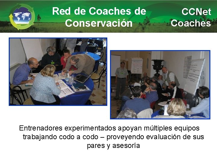 Red de Coaches de Conservación CCNet Coaches Entrenadores experimentados apoyan múltiples equipos trabajando codo