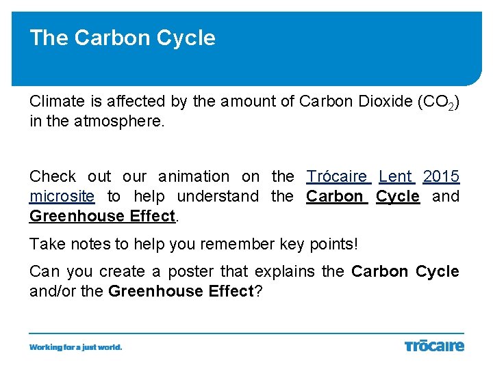 The Carbon Cycle Climate is affected by the amount of Carbon Dioxide (CO 2)