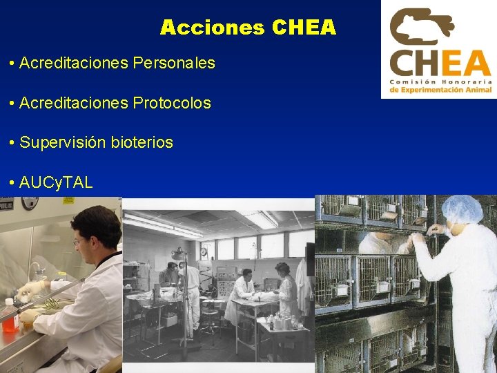 Acciones CHEA • Acreditaciones Personales • Acreditaciones Protocolos • Supervisión bioterios • AUCy. TAL