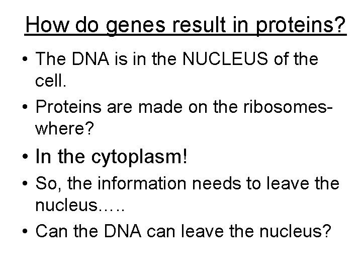 How do genes result in proteins? • The DNA is in the NUCLEUS of