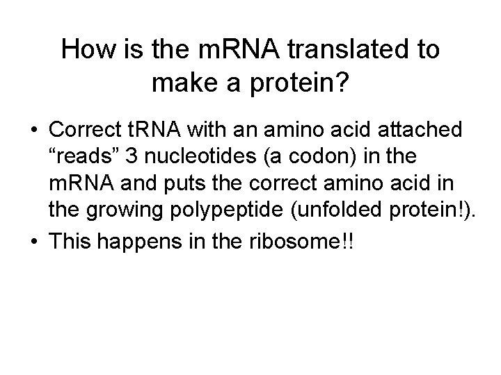 How is the m. RNA translated to make a protein? • Correct t. RNA