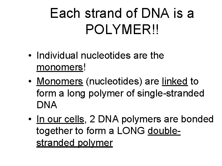 Each strand of DNA is a POLYMER!! • Individual nucleotides are the monomers! •