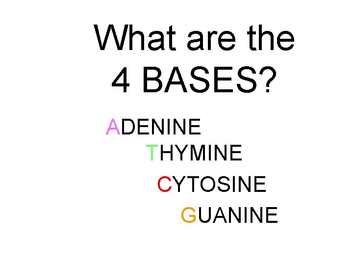 What are the 4 BASES? ADENINE THYMINE CYTOSINE GUANINE 