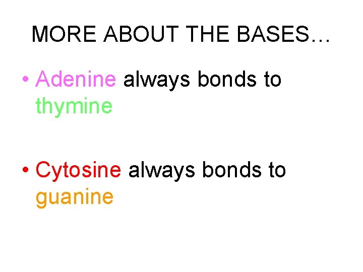 MORE ABOUT THE BASES… • Adenine always bonds to thymine • Cytosine always bonds