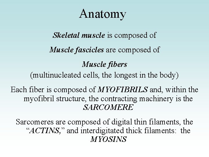 Anatomy Skeletal muscle is composed of Muscle fascicles are composed of Muscle fibers (multinucleated
