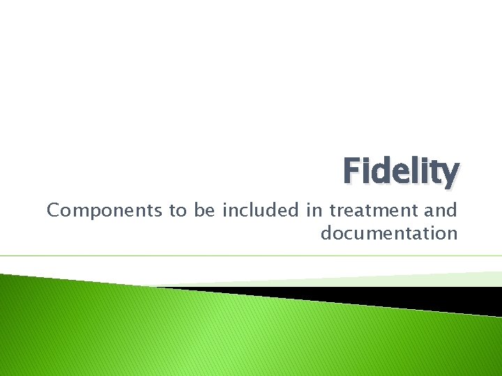 Fidelity Components to be included in treatment and documentation 