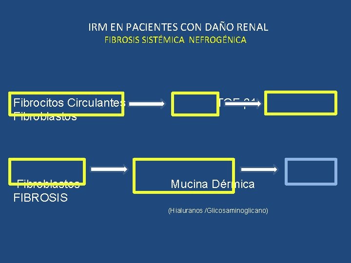 IRM EN PACIENTES CON DAÑO RENAL FIBROSIS SISTÉMICA NEFROGÉNICA Fibrocitos Circulantes Fibroblastos FIBROSIS TGF