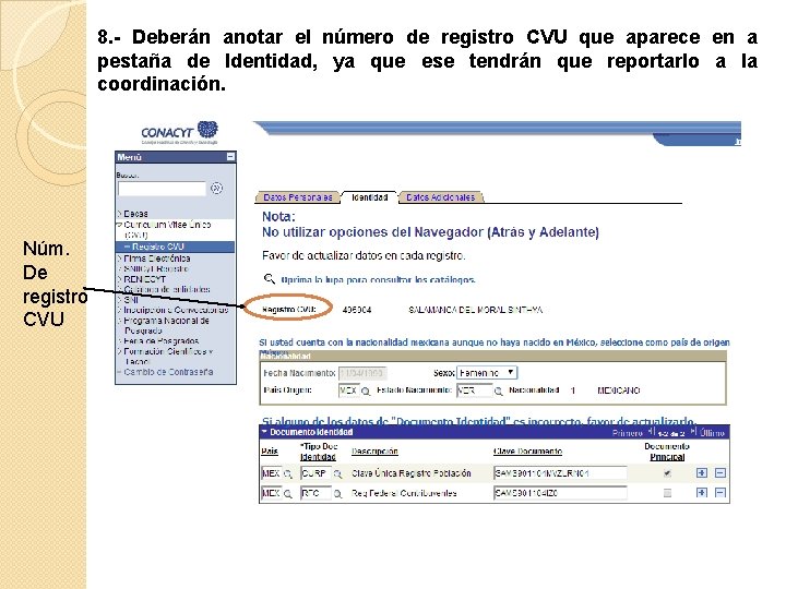 8. - Deberán anotar el número de registro CVU que aparece en a pestaña