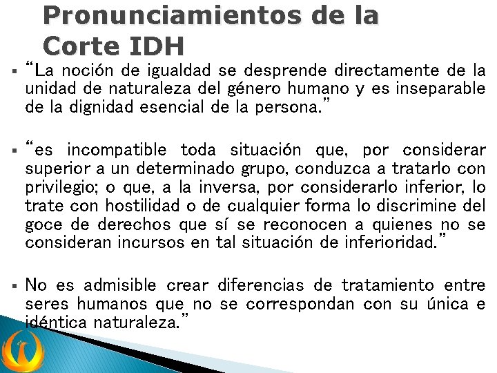 Pronunciamientos de la Corte IDH § “La noción de igualdad se desprende directamente de