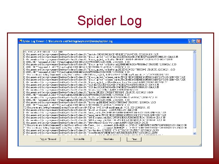 Spider Log Spider Log