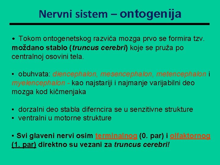 Nervni sistem – ontogenija • Tokom ontogenetskog razvića mozga prvo se formira tzv. moždano Nervni sistem – ontogenija • Tokom ontogenetskog razvića mozga prvo se formira tzv. moždano