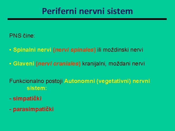 Periferni nervni sistem PNS čine: • Spinalni nervi (nervi spinales) ili moždinski nervi •