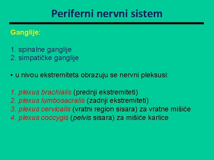 Periferni nervni sistem Ganglije: 1. spinalne ganglije 2. simpatičke ganglije • u nivou ekstremiteta