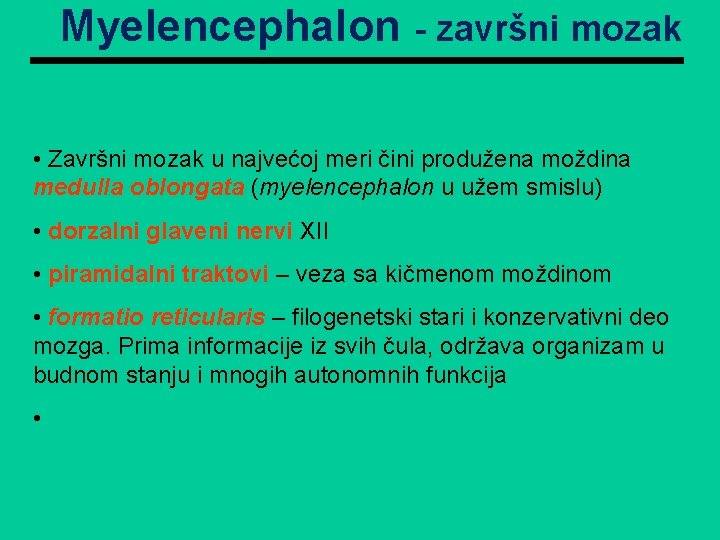 Myelencephalon - završni mozak • Završni mozak u najvećoj meri čini produžena moždina medulla