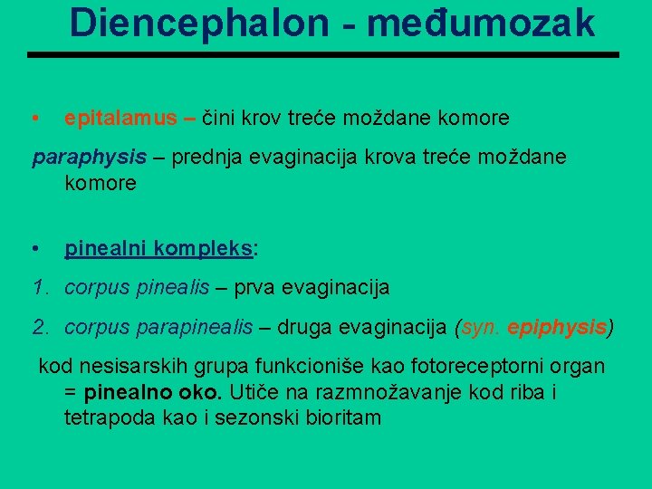 Diencephalon - međumozak • epitalamus – čini krov treće moždane komore paraphysis – prednja Diencephalon - međumozak • epitalamus – čini krov treće moždane komore paraphysis – prednja