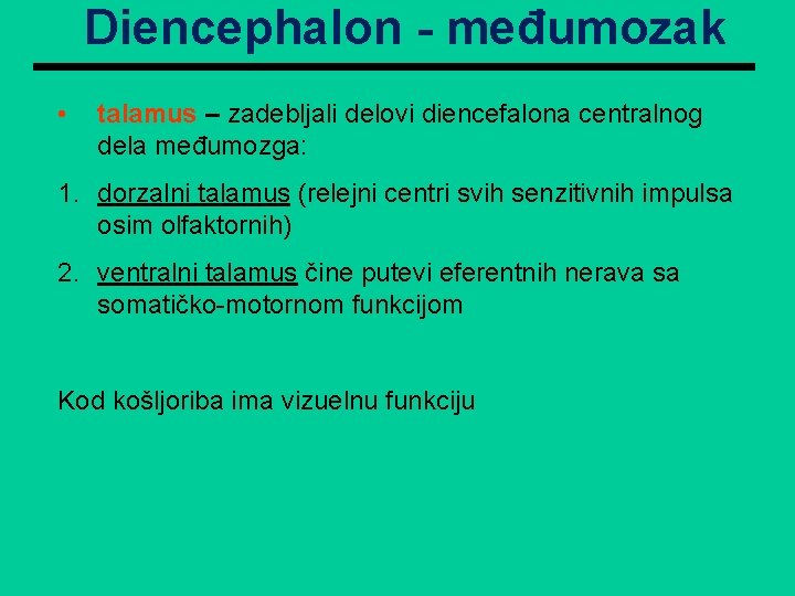 Diencephalon - međumozak • talamus – zadebljali delovi diencefalona centralnog dela međumozga: 1. dorzalni Diencephalon - međumozak • talamus – zadebljali delovi diencefalona centralnog dela međumozga: 1. dorzalni