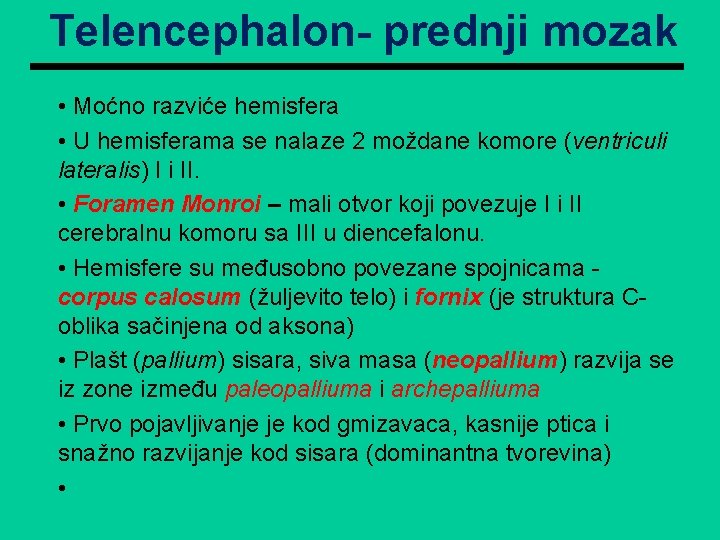 Telencephalon- prednji mozak • Moćno razviće hemisfera • U hemisferama se nalaze 2 moždane Telencephalon- prednji mozak • Moćno razviće hemisfera • U hemisferama se nalaze 2 moždane