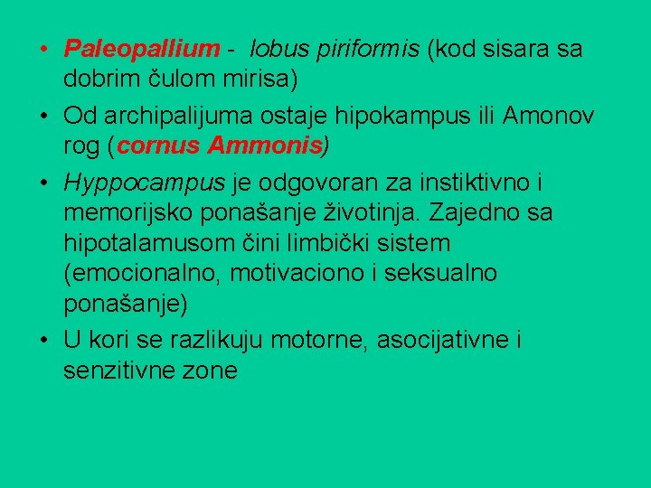  • Paleopallium - lobus piriformis (kod sisara sa dobrim čulom mirisa) • Od