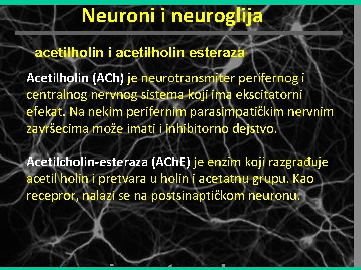 Neuroni i neuroglija acetilholin i acetilholin esteraza Acetilholin (ACh) je neurotransmiter perifernog i centralnog