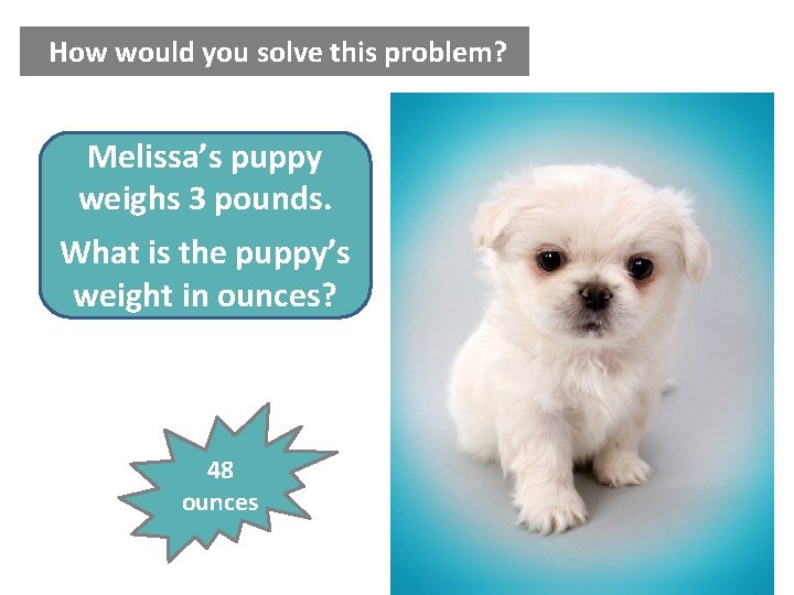 How would you solve this problem? Melissa’s puppy weighs 3 pounds. What is the How would you solve this problem? Melissa’s puppy weighs 3 pounds. What is the