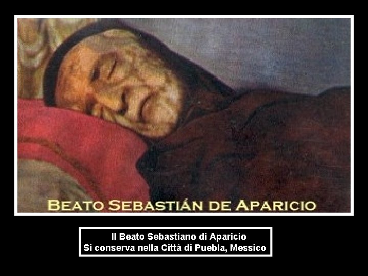  Il Beato Sebastiano di Aparicio Si conserva nella Città di Puebla, Messico 