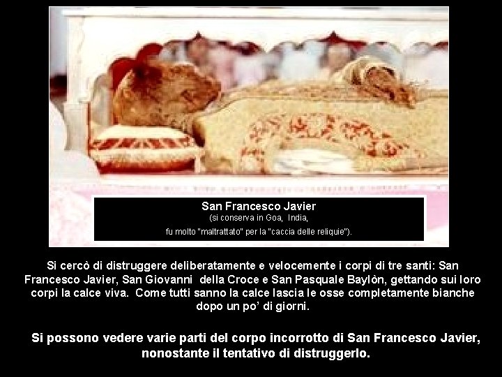 San Francesco Javier (si conserva in Goa, India, fu molto “maltrattato” per la “caccia