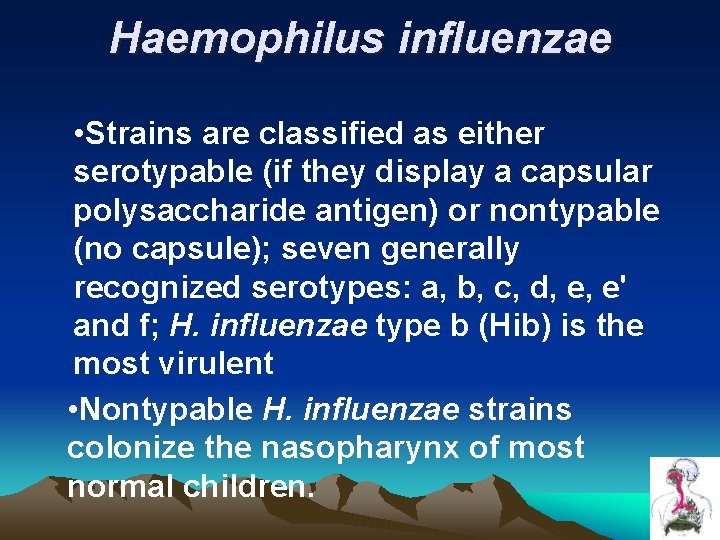 Haemophilus influenzae • Strains are classified as either serotypable (if they display a capsular Haemophilus influenzae • Strains are classified as either serotypable (if they display a capsular