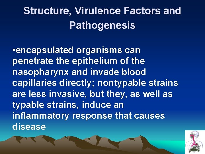 Structure, Virulence Factors and Pathogenesis • encapsulated organisms can penetrate the epithelium of the Structure, Virulence Factors and Pathogenesis • encapsulated organisms can penetrate the epithelium of the