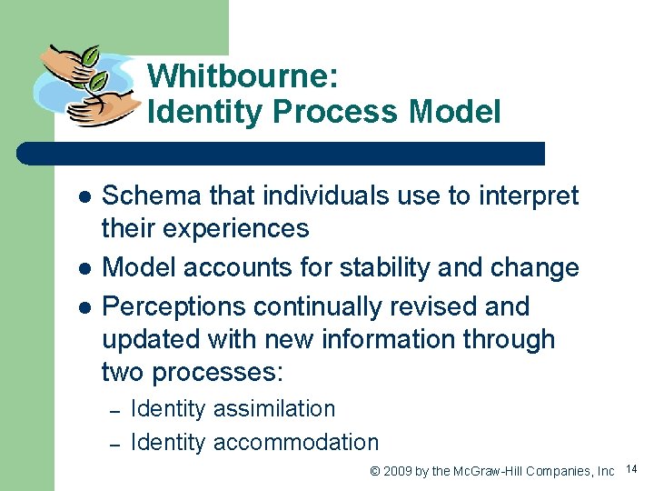 Whitbourne: Identity Process Model l Schema that individuals use to interpret their experiences Model