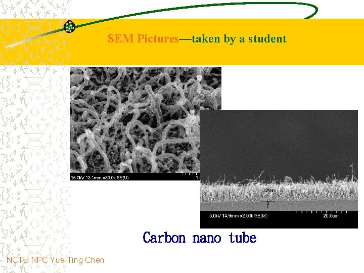 SEM Pictures—taken by a student Carbon nano tube NCTU NFC Yue-Ting Chen 