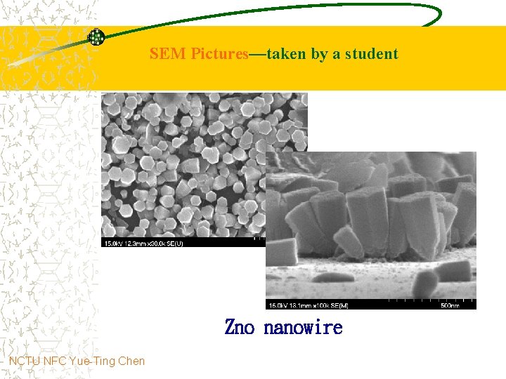SEM Pictures—taken by a student Zno nanowire NCTU NFC Yue-Ting Chen 