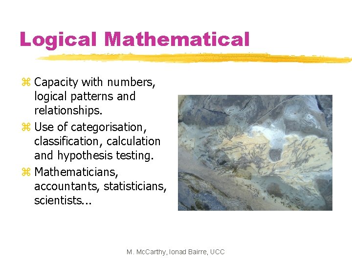 Logical Mathematical z Capacity with numbers, logical patterns and relationships. z Use of categorisation,