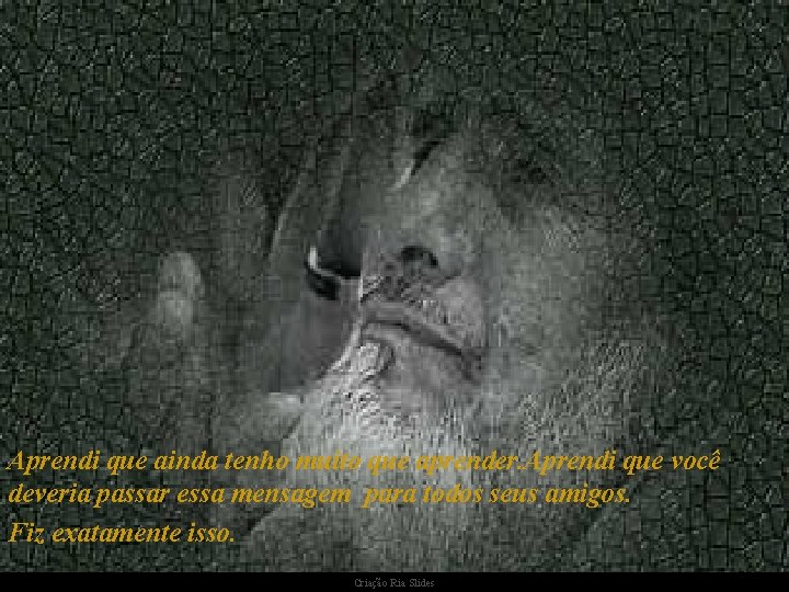Aprendi que ainda tenho muito que aprender. Aprendi que você deveria passar essa mensagem