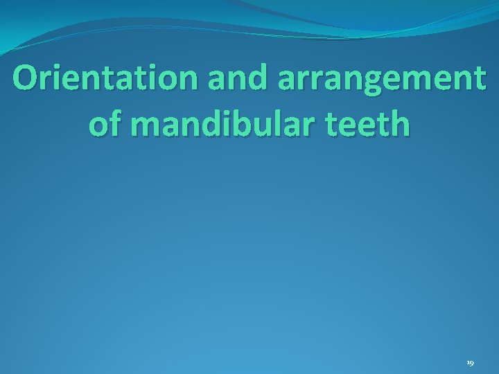 Orientation and arrangement of mandibular teeth 19 