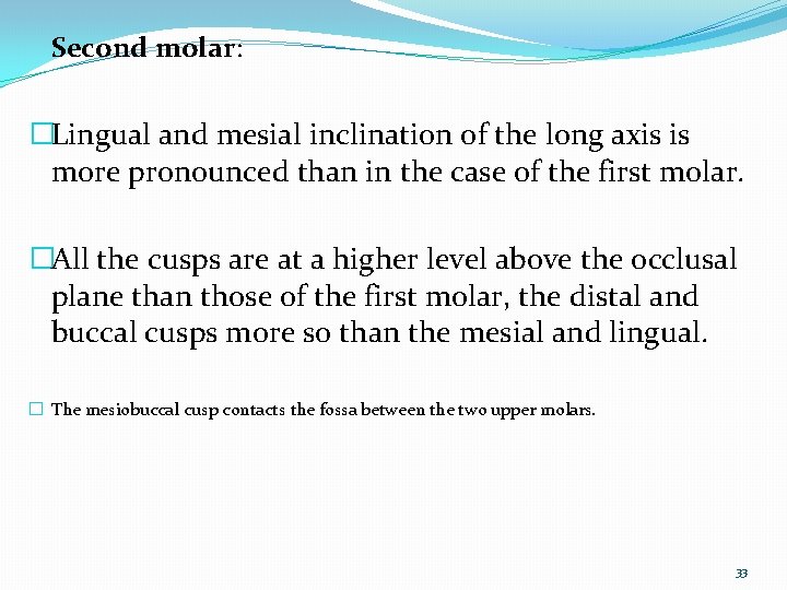 Second molar: �Lingual and mesial inclination of the long axis is more pronounced than