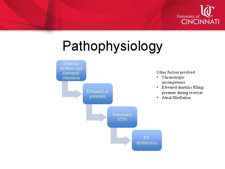 Pathophysiology Diastolic stiffness and abnormal relaxation Other factors involved: • Chronotropic incompetence • Elevated