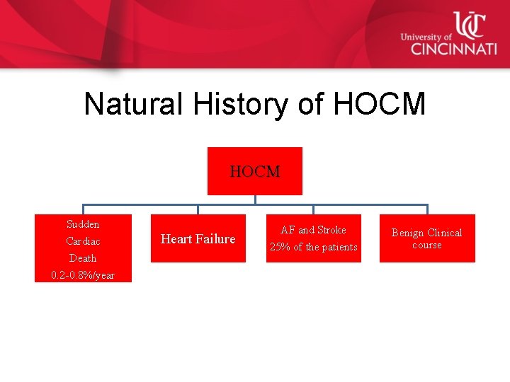Natural History of HOCM Sudden Cardiac Death 0. 2 -0. 8%/year Heart Failure AF
