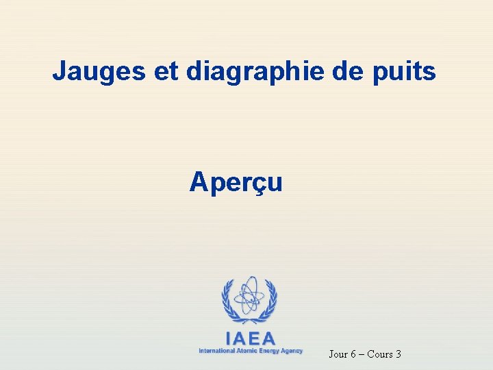 Jauges et diagraphie de puits Aperçu IAEA International Atomic Energy Agency Jour 6 –