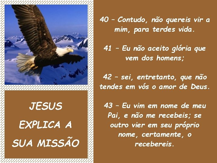 40 – Contudo, não quereis vir a mim, para terdes vida. 41 – Eu