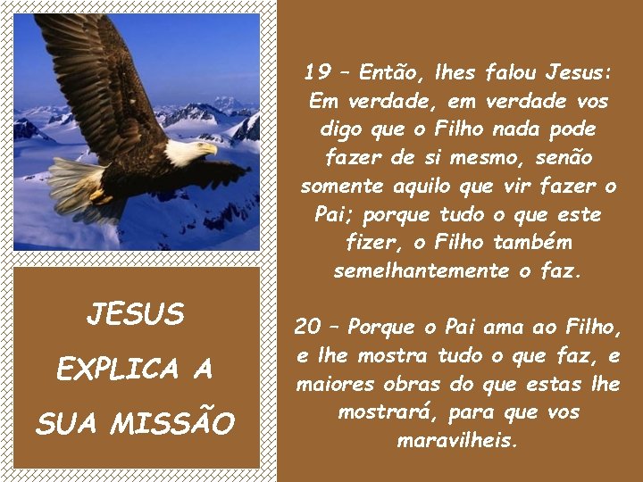 19 – Então, lhes falou Jesus: Em verdade, em verdade vos digo que o