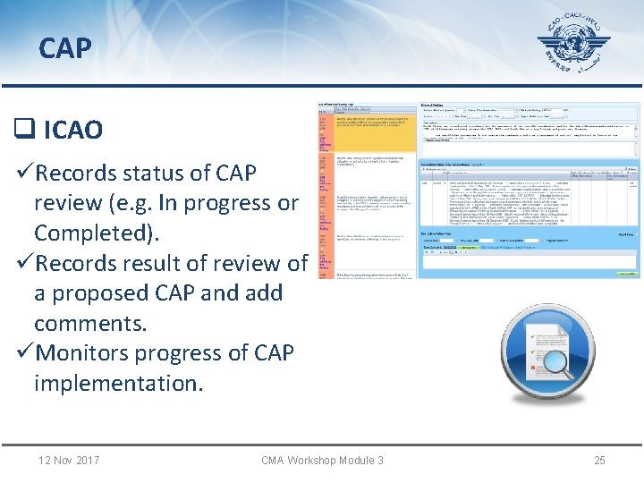 CAP q ICAO üRecords status of CAP review (e. g. In progress or Completed).