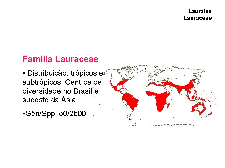 Laurales Lauraceae Família Lauraceae • Distribuição: trópicos e subtrópicos. Centros de diversidade no Brasil Laurales Lauraceae Família Lauraceae • Distribuição: trópicos e subtrópicos. Centros de diversidade no Brasil