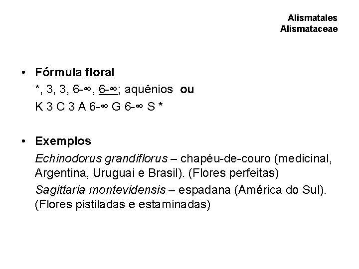Alismatales Alismataceae • Fórmula floral *, 3, 3, 6 -∞; aquênios ou K 3 Alismatales Alismataceae • Fórmula floral *, 3, 3, 6 -∞; aquênios ou K 3