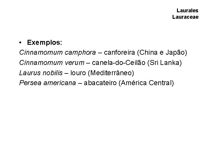 Laurales Lauraceae • Exemplos: Cinnamomum camphora – canforeira (China e Japão) Cinnamomum verum – Laurales Lauraceae • Exemplos: Cinnamomum camphora – canforeira (China e Japão) Cinnamomum verum –