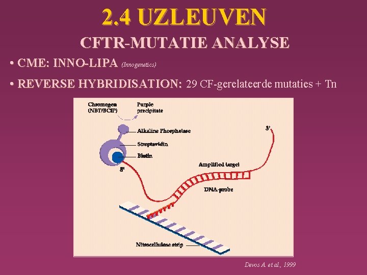 2. 4 UZLEUVEN CFTR-MUTATIE ANALYSE • CME: INNO-LIPA (Innogenetics) • REVERSE HYBRIDISATION: 29 CF-gerelateerde