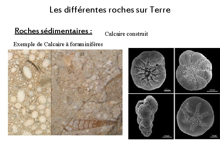 Les différentes roches sur Terre Roches sédimentaires : Exemple de Calcaire à foraminifères Calcaire Les différentes roches sur Terre Roches sédimentaires : Exemple de Calcaire à foraminifères Calcaire