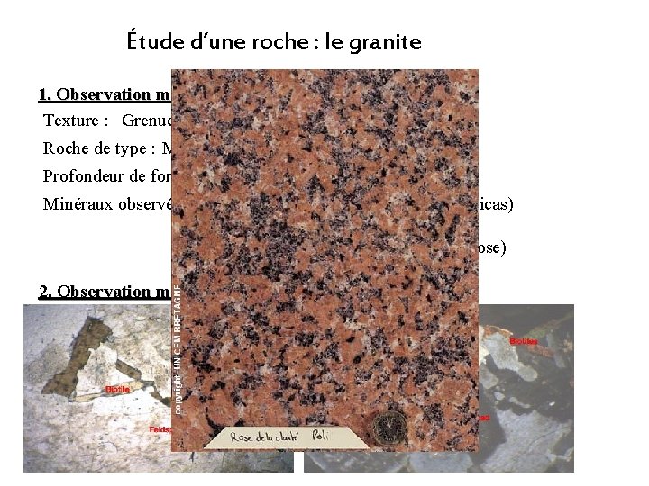 Étude d’une roche : le granite 1. Observation macroscopique Texture : Grenue (tous les Étude d’une roche : le granite 1. Observation macroscopique Texture : Grenue (tous les